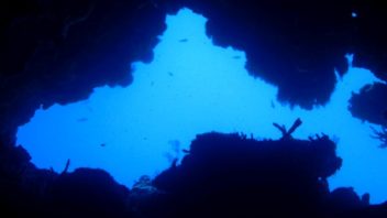 swim thrus of palancar caves in Cozumel with Maple Leaf scuba