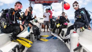 PADI Introductory Scuba Diving Courses